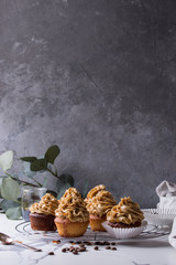 Fototapeta na wymiar Fresh baked homemade cupcakes with coffee buttercream and caramel standing on cooling rack with eucalyptus branch and coffee beans above over white marble kitchen table.