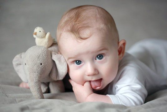 B&eacute;b&eacute; et son doudou. Un regard