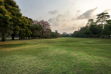 Green grass field in park at city center with business buildings in Bangkok on sunset, Thailand.