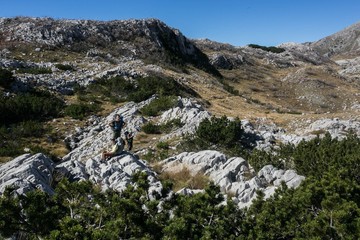 Bosnia and herzegovina  Mountain view