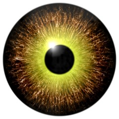 Texture yellow Eye