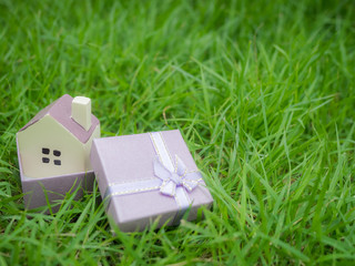 Small House model in green grass field.
