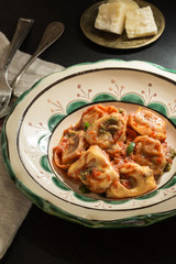Fresh Homemade Tortellini with Tomato Sauce and Mozzarella Cheese on Rustic Plate