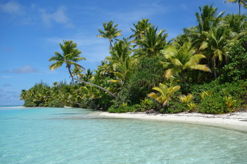 View of beach with palms at one foot island
