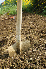 Shovel in the soil, gardening/agricultural working tool, space for text