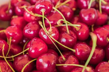 background of fresh red cherry with waterdrops, selective focus