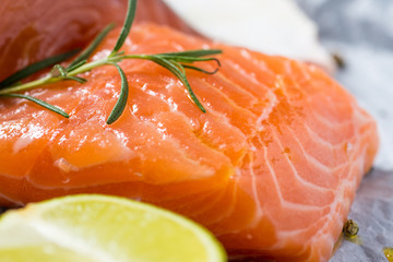Salmon Fillet with Lime and Aromatic Herbs and Spices on White Paper