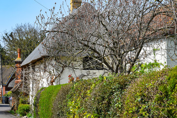 Wickhambreaux, in Kent