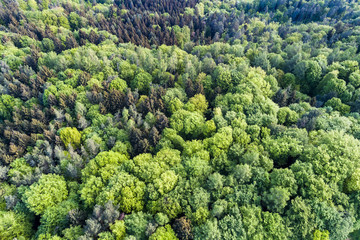 Luftaufnahme, Schwäbischer Wald, Rems-Murr-Kreis, Baden Württemberg, Deutschland