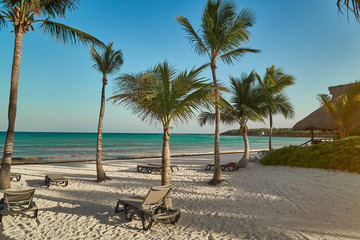 View at luxury resort hotel beach of tropical coast. Leaves of coconut palms fluttering in wind against blue sky. Turquoise water of Caribbean Sea. Riviera Maya Mexico