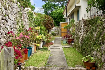 Fototapeta na wymiar 琉球家屋の庭