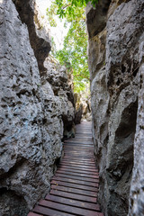 Wooden bridge in the narrow gorge is a walking trail for nature tourism at Thale Nai on Koh Mae Ko island in Mu Ko Ang Thong National Park, Surat Thani, Thailand