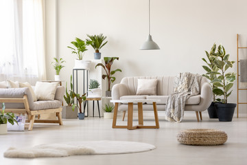 Pouf next to rug in bright living room interior with plants and beige couch. Real photo