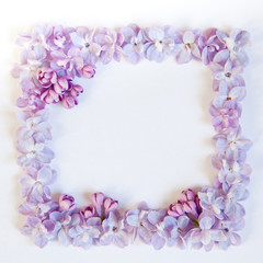 frame of lilac flowers
