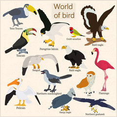 Set of vector birds with names on a light background