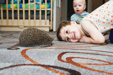 Ёж в гостях © Aleksei