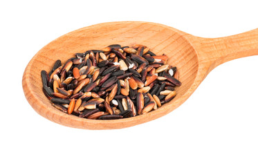 Wild rice in spoon