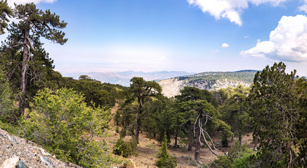 Fototapeta na wymiar Горы Троодас. Панорамный вид с горы Олимп (самая высокая точка Кипра)