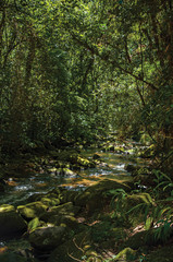 View of creek and rocks in the middle of a forest in Visconde de Maua, a village in the mountains with cold climate and perfect days for hiking. In the Rio de Janeiro State, southwestern Brazil