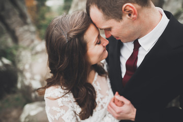 Wedding couple in love kissing and hugging near rocks on beautiful landscape