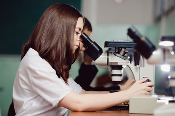 Fototapeta premium Students at work in laboratory, research developments on microscopes, students sit in row.