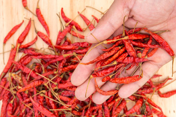 Chili handles dry on wooden floor.