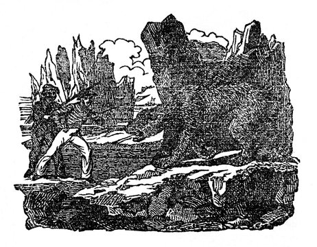 Fight with the polar bear (Ursus maritimus) (from Das Heller-Magazin, March 22, 1834)