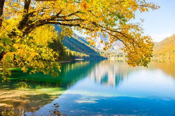 Yellow autumn trees on the shore of lake in Austrian Alps