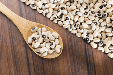 Black-headed beans, Vigna unguiculata