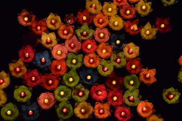 lotus lantern flower on water