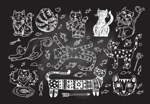 Beautiful hand drawn vector illustration cute cats.