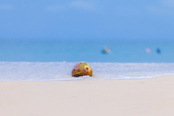 green coconut on Nai Harn beach. in rainy season always have big wave in Naiharn beach good for surfing