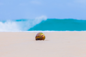 Obraz premium green coconut on Nai Harn beach. in rainy season always have big wave in Naiharn beach good for surfing