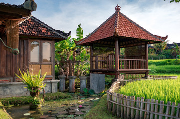 Gazebo in the garden