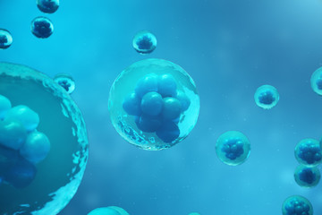 3D Rendering human or animal cells on blue background. Concept Early stage embryo Medicine scientific concept, Stem cell research and treatment.