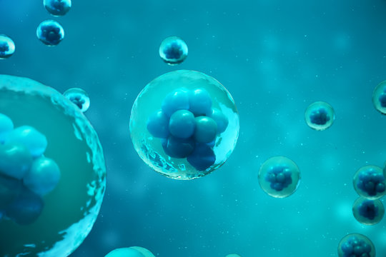 3D Rendering human or animal cells on blue background. Concept Early stage embryo Medicine scientific concept, Stem cell research and treatment.