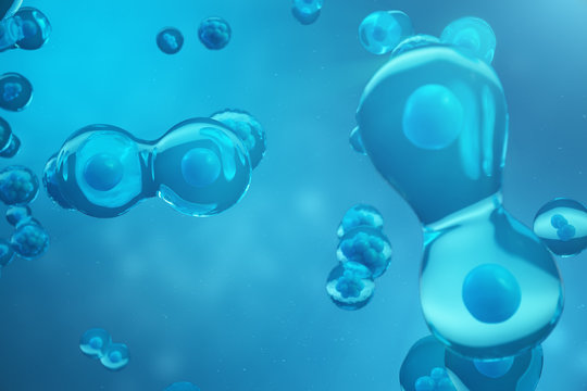 3D Rendering human or animal cells on blue background. Concept Early stage embryo Medicine scientific concept, Stem cell research and treatment.