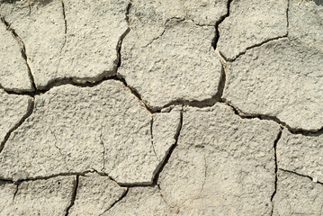 background - dried cracked saline soil, dry clay