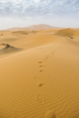 Obraz na płótnie Canvas Merzouga desert