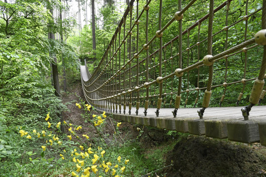 h&auml;ngebr&uuml;cke im binger wald