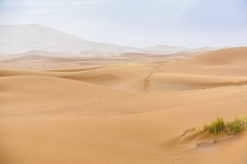 Merzouga desert