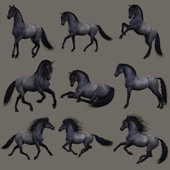 Blue Roan Horse, 3d CG