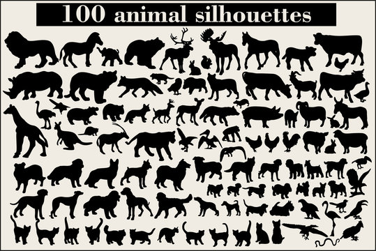 Collection of animal silhouettes on a gray background