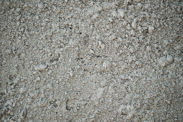 Texture of wall with a plaster by sandy sulphur