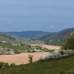 Fototapeta na wymiar River of reeds; Sic, Romania