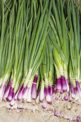 Allum purple and green salad spring onions, scallions at the Farmer's Market
