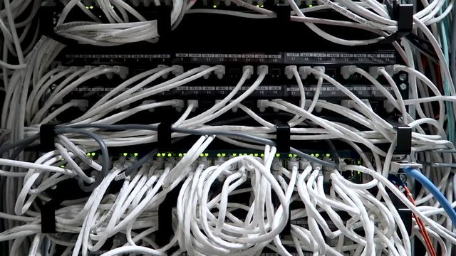 Network cables connected to switch - closeup of data center hardware. 