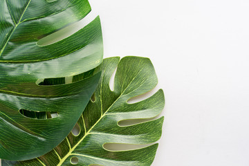 close up blank ecology tropical leaves laying on paper texture background with copy space for idea your text,ads,content on image