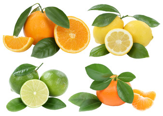 Collage Orangen Zitrone Mandarine Früchte Freisteller freigestellt isoliert