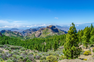 Fototapeta na wymiar Landscape scenery in Gran Canaria, Canary Islands, Spain